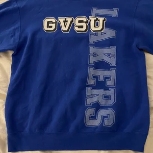 Champion sweatshirt blå - Säljer min blåa champion tröja. Jättefint skick, vintage! Köparen står för frakten!