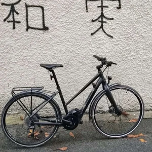 Cykel till salu - Elcykel utan batteri är o gott skick o funkar helt perfekt.