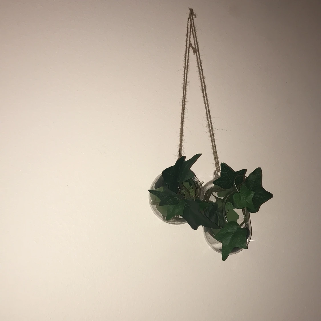 Växt dekoration säljes!  - 90