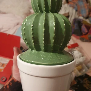 Kaktus låda - Porslin kaktus med gömd låda, runt 25-30 cm hög och runt 10-15 cm bred. Frakt kostar 66kr och skickar säkert inslaget så den inte går sönder♡