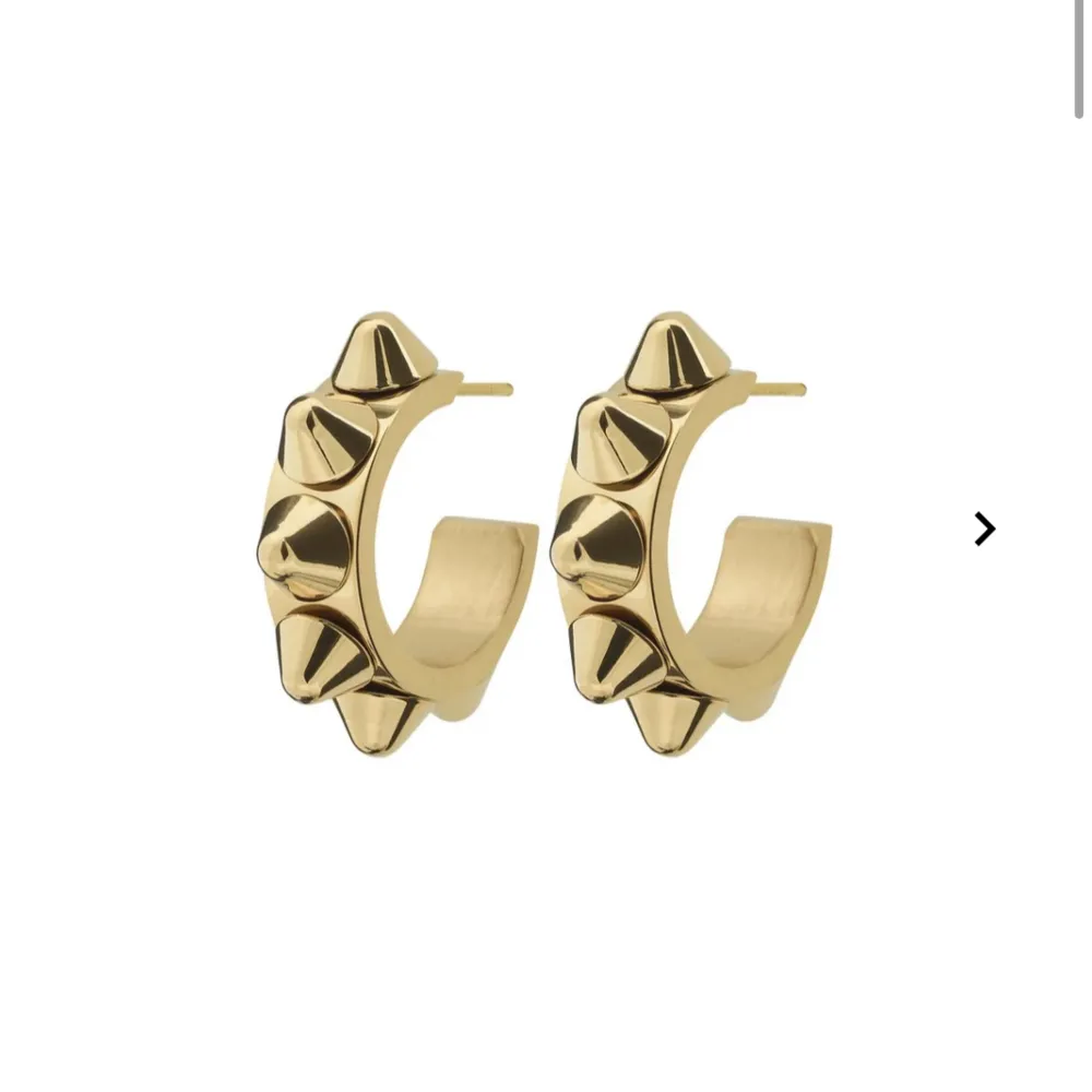 Jag söker de här örhängen i guld eller silver. Kan ge 100 men pris kan diskuteras. Kontakta om ni har och vill sälja.. Accessoarer.