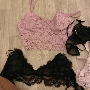 Spets bh  - Spets bh 