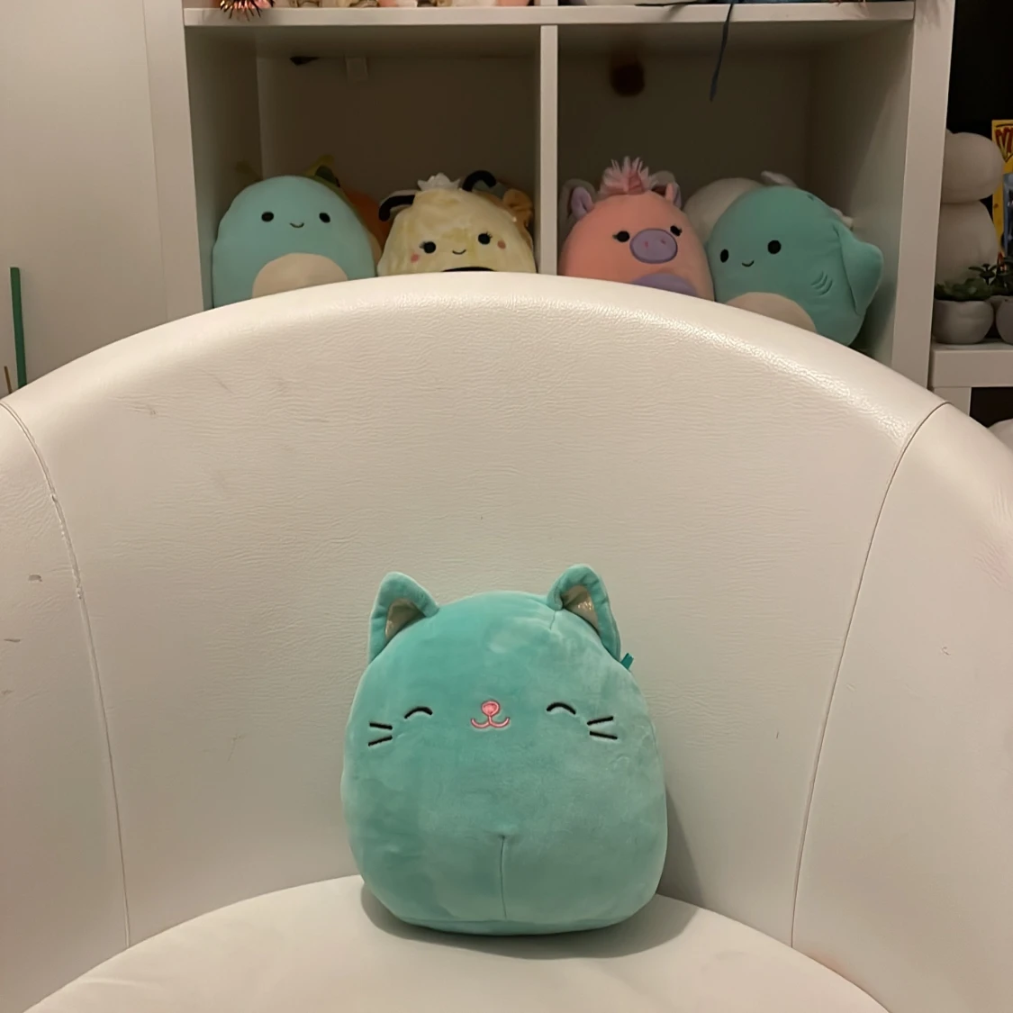 Squishmallow 