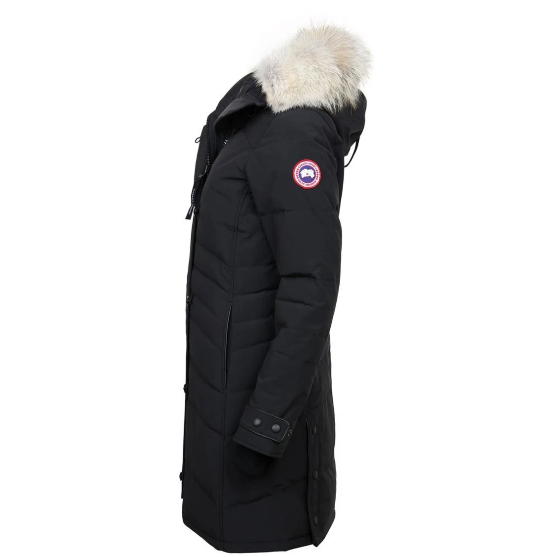 Canada goose lorette 