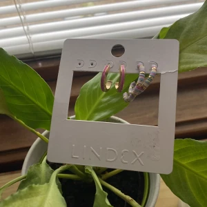 Lindex Earings/hoops - 2 par såklart oanvända örhängenfrån Lindex. Säljs för att dem inte är till användning. 39 kr frakt💗😊