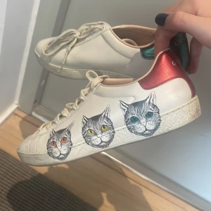 Snygga gucci skor  - Wow så snygga gucci sneakers!! Köpt i Miami i 2019 använda 3 ggr. Passar också 39/en halv