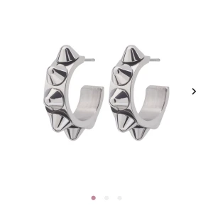 Edblad peak örhängen silver - Köpt för 350 kr. Så trendigt med silver nu🥰Köparen betalar frakt