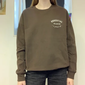 En brun tjocktröja - En brun tröja köpt från new yorker för 149kr || Köparen står för frakt || Aldrig använts ||  