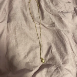Halsband - Halsband med snäcka på, jättefint men använder aldrig
