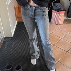 Gråa bootcut jeans från gina tricot storlek 36. Går typ 3 cm över foten på mig som är 172cm, använda 1 gång