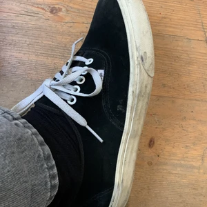 Vans - Trasiga i sulan