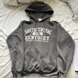 Baggy 90s hoodie  - Baggy Champion hoodie. Fett söt, dock en liten blå färgfläck men man ser den knappt:)