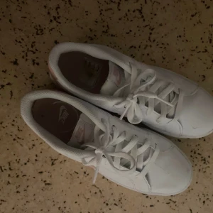 nike skor 38 - jag säljer nike skor, storlek 38. dom använda 1 gång. kommer inte till använing. superfint sick. kan mötas upp och kan även posta dom. frakt står köpare för själv, kan diskutera pris 