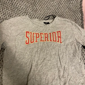 T shirt - Fin Grå superior t shirt, använt skick