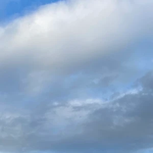 Söker  - Söker Juicy Couture byxor/tröjor 