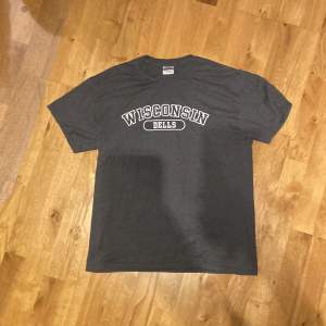 Vintage Wisconsin Dells T Shirt i Mörkgrå. Storlek M Utmärkt skick med inga fläckar eller hål Mått kan lösas vid intresse