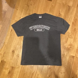 Vintage Wisconsin Tee (Gildan) - Vintage Wisconsin Dells T Shirt i Mörkgrå. Storlek M Utmärkt skick med inga fläckar eller hål Mått kan lösas vid intresse