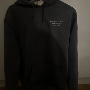 Hoodie - En Axel arigato tröja i en skit snygg färg, i storlek M!