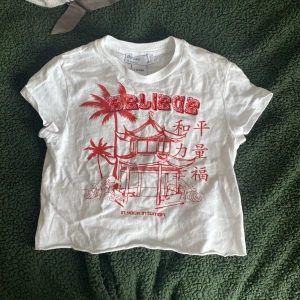 Tröja  - En skit cool tröja från Bershka köpt för 2 år sen och andvänts ett par gånger dock fortfarande väldigt bra skick. Säljs pågrund av att jag bytt stil. Den är ganska kort pågrund av att de är en barn tröja, men älskade trycket och hur den sitter! Org 150kr