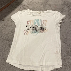 En tröja  - En tröja storlek 146 / 152