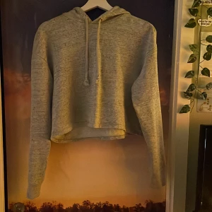 Grå hoodie - Säljer en grå hoodie från h&m divided stl M, säljer eftersom den används för lite! Den är rätt tunn perfekt när man vill ha en hoodie även om det är varmt ute!😊 skicka för fler bilder eller frågor