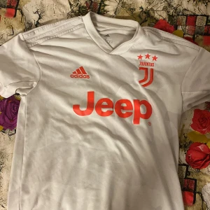 Juventus tröja  - Storlek S säljer den för att den är liten på mig!  Priset kan diskuteras 