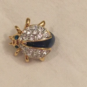 Brosch skalbagge  - Vackert kryp med glittriga rhinestones 