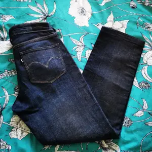 Jean Levi's. Size 4/27. Used only once