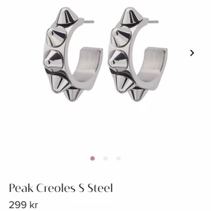 Edblad örhängen - Jätte vackra örhängen som passar till väldigt mycket. Väldigt populära och eftersökta, köpta på Edblad för 300kr, helt oanvända. Säljer då jag har för många örhängen. Frakt tillkommer♥️♥️