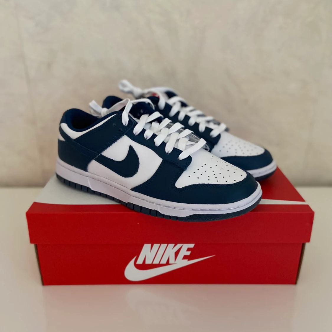 Nike Dunk Low Valerian Blue 