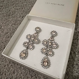 Lily and Rose örhängen  - Jättefina örhängen från Lily and Rose som är använda en gång!💖💖 Nypris 850 kr!