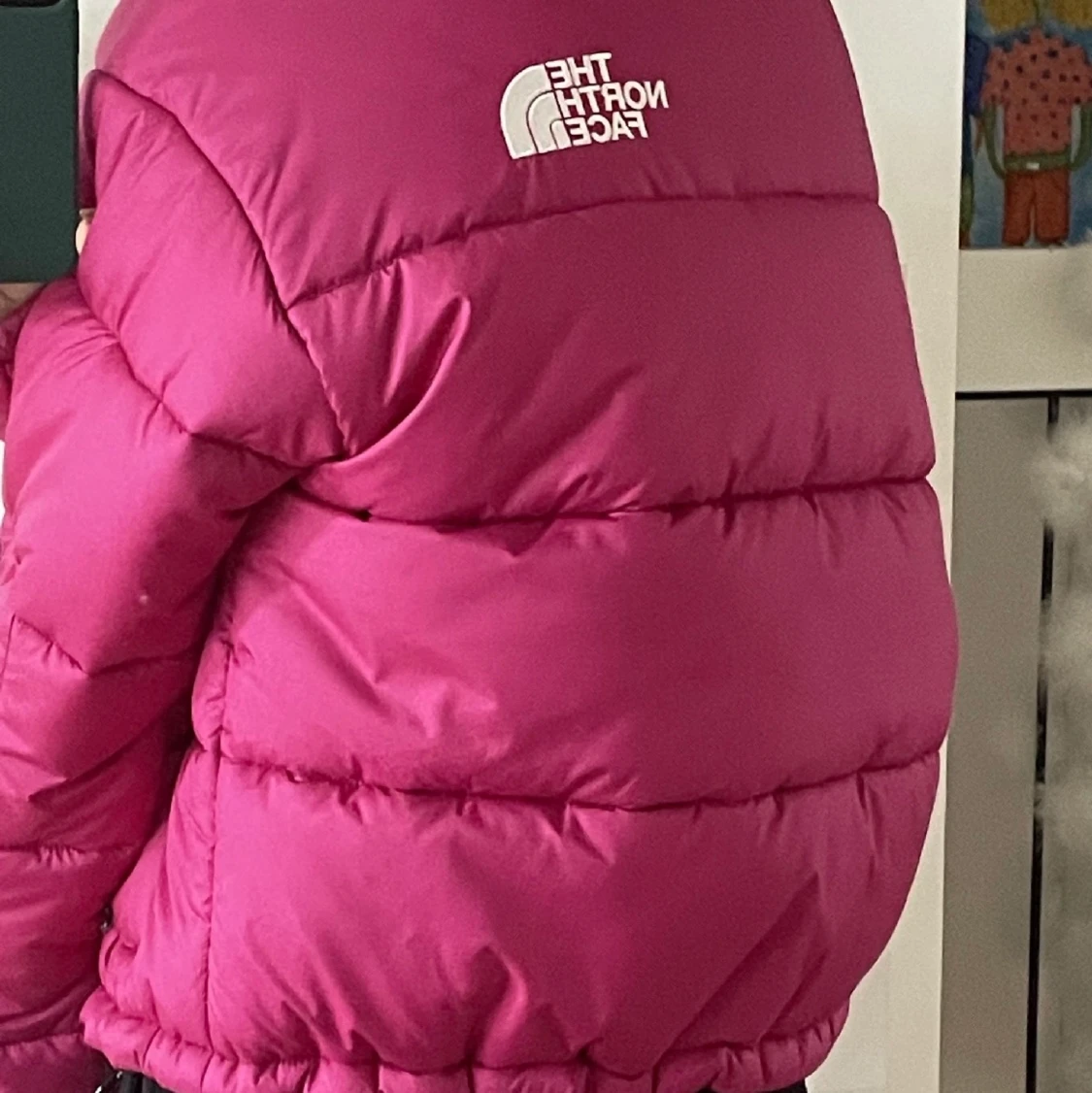 north face jacka💓 - 91