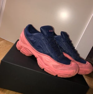 Raf Simons Ozweego - Ozwegoos, i princip helt nya, använda 2 gånger.  Köpt på caliroots(3400, kvitto finns) Box&extra snören följer med.   Möts i Kalmar eller skickas mot fraktk.