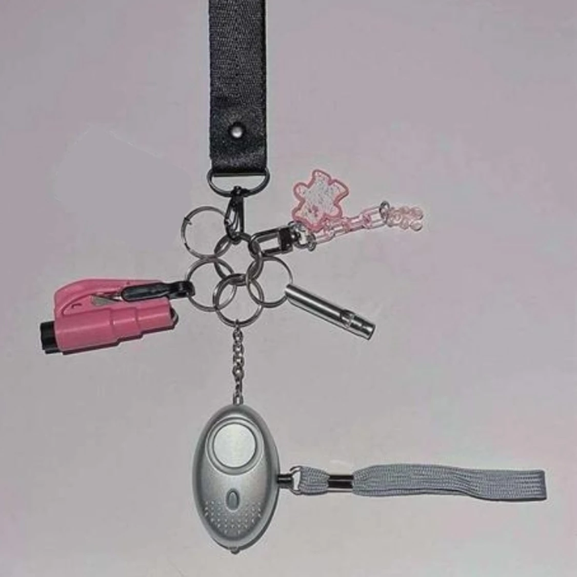 Säkerhets nyckelringar 