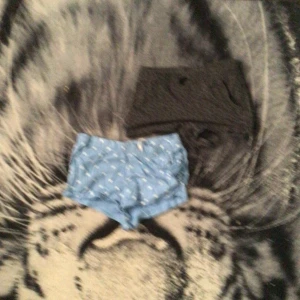 Shorts - Två par shorts med olika mönster.  10kr/st 15kr paketpris