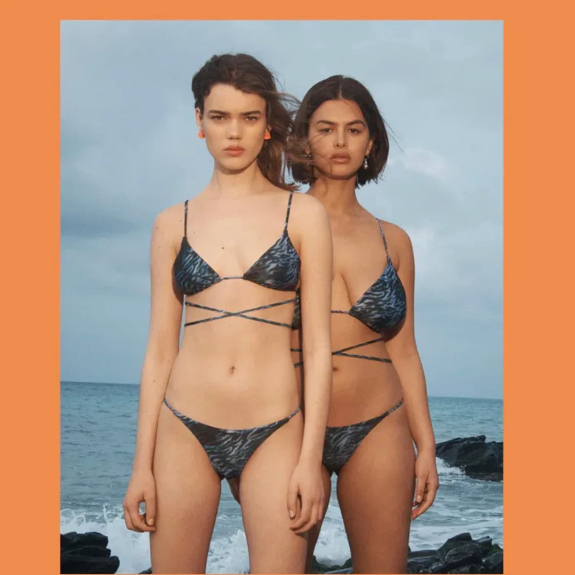Bikini Gina lab