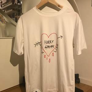 inte äkta!!! säljer min Harry Styles x Gucci t-shirt då den tyvärr inte kommer till användning för mig, aldrig använd! köpt av en säljare här på plick för ett tag sen, skriv för bättre bilder! 🌟