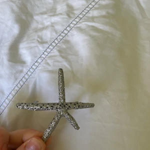 Hårklämma - Så fin hårklämma i silver! 