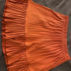 Kjol från zara - Köp för någon sommar sedan men ser näst intill oanvänd ut och är jättefin 