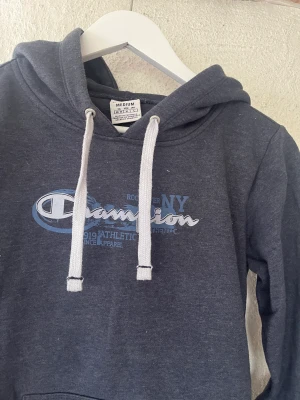 Tröja - En champion hoodie i fint skick. Skicka ifall du vill ha fler bilder 