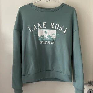 Turkos ish sweatshirt  - Turkosfärgad sweatshirt i bra skick. ❣️. OBS! Köpare står för frakt!🥰