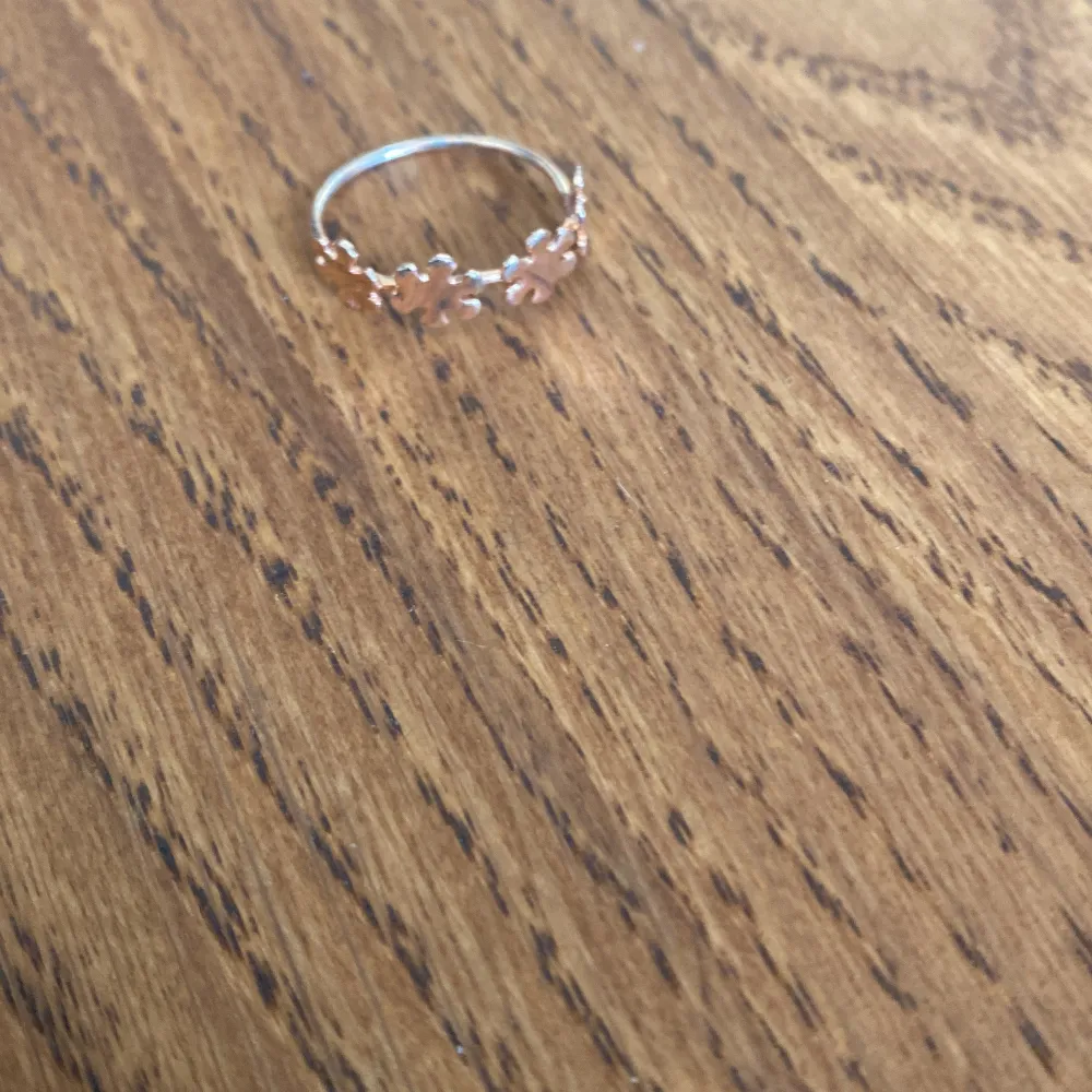 En brons ring som jag aldrig har använt.. Accessoarer.