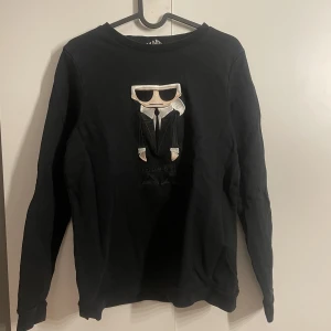 Karl Lagerfeld tröja  - säljer denna fina tröja då jag inte använder den. Den sitter jättebra i modellen. Köparen står för frakt 💞