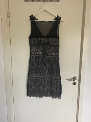 Klänning med spets och mesh  - Jättesnygg festklänning med great gatsby vibe! Perfekt till skiva eller liknande. Är använd men i bra skick. Spets över hela klänningen men den har en underklänning så är ej genomskinlig, rosett i siden på bröstet. Den är lite figursydd i midjan. 