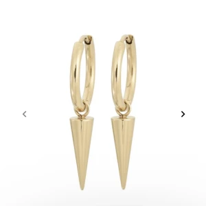 Örhängen med nitar  - Super fina men kommer inte till användning (Edblad) tryck inte på Köp nu 