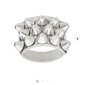 Edblad ring  - Edblad ring OBS! Saknar en nit som ni ser på bild 2💓 nypris 399kr