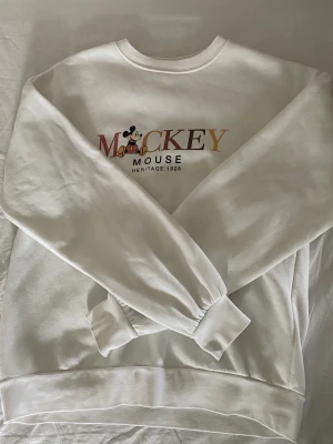 Collegetröja - En tröja i jätte fint skick, använder den aldrig så är därför jag säljer, + frakt.