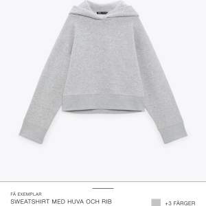 Säljer denna skitsnygga hoodie från Zara, endast använd två gånger. Skriv om du vill ha fler bilder eller om du har frågor💕💕