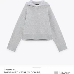 Zara hoodie - Säljer denna skitsnygga hoodie från Zara, endast använd två gånger. Skriv om du vill ha fler bilder eller om du har frågor💕💕
