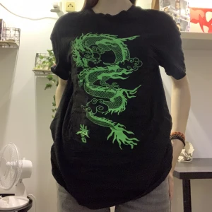 T-shirt med drake oå - En cool T-shirt med drake på, nyskick. Köptes på new yorker för 109kr || Köparen står för frakt !!